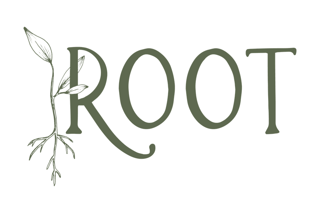 Root At-Church Content for Adults PDF