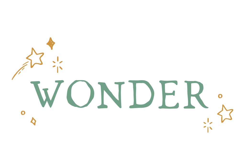 Wonder