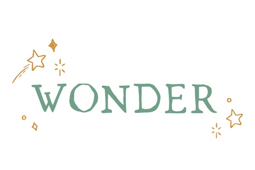 Wonder